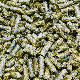 2KG CỎ LINH LĂNG (CỎ ALFALFA) cho GÀ ĐÁ, BỒ CÂU, THỎ BỌ... giúp sung mãn