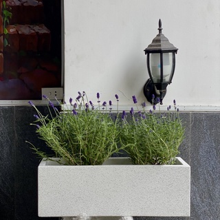 Chậu xi măng đá mài CHỮ NHẬT 20*20*60 - Trắng