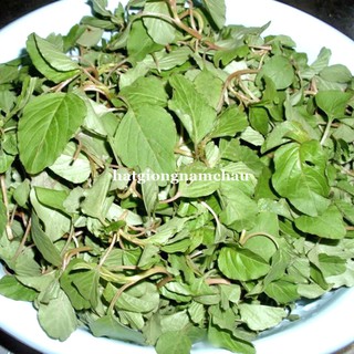 5GR - HẠT GIỐNG RAU DỀN CƠM