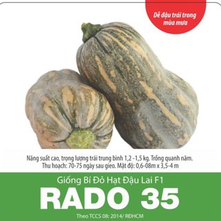 [Rạng Đông] Hạt Giống Bí Đỏ Hạt Đậu  Lai F1 Rado 35 Năng Suất Cao
