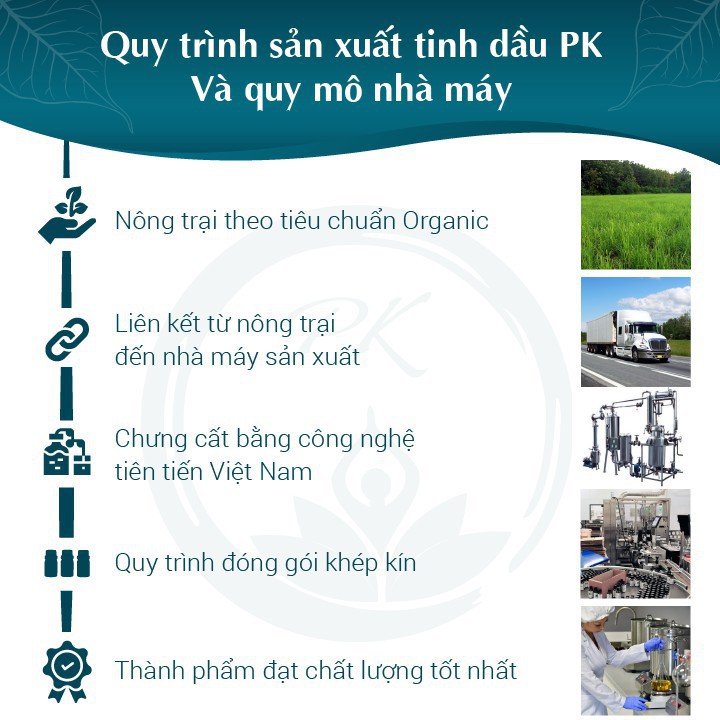 [GIÁ DÙNG THỬ] Tinh dầu cao cấp Quế PK 5ml, xông phòng, giảm mỡ bụng