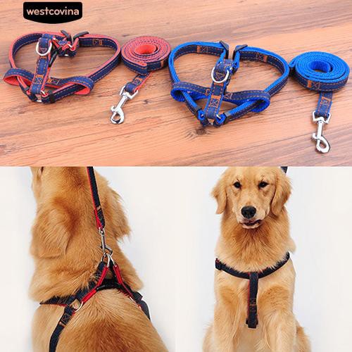 Dây Dắt Chó Đi Dạo Tiện Lợi