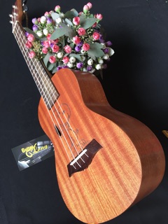 Ukulele Concert CC650 CB2