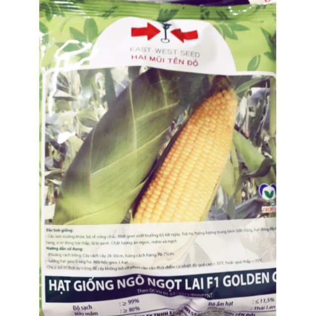 Hạt giống ngô ngọt-hai mũi tên đỏ - túi 500gram