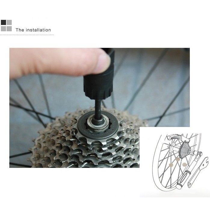 VAM THÁO LÍP THẢ