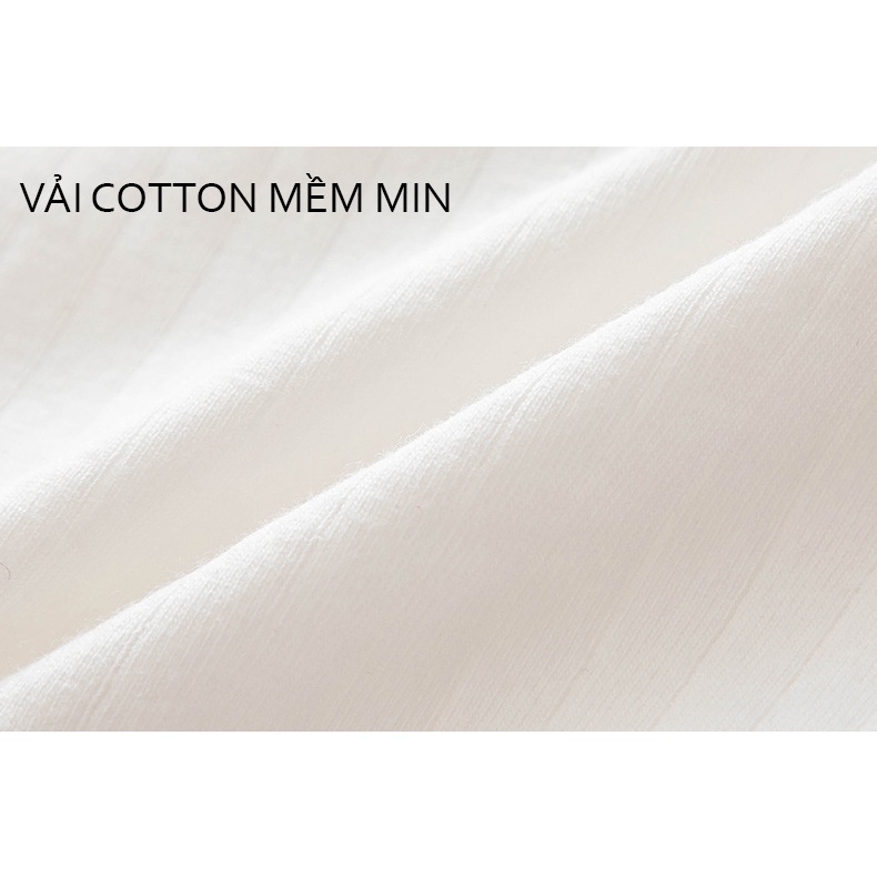 Set 5 quần lót nữ cute họa tiết đáng yêu
