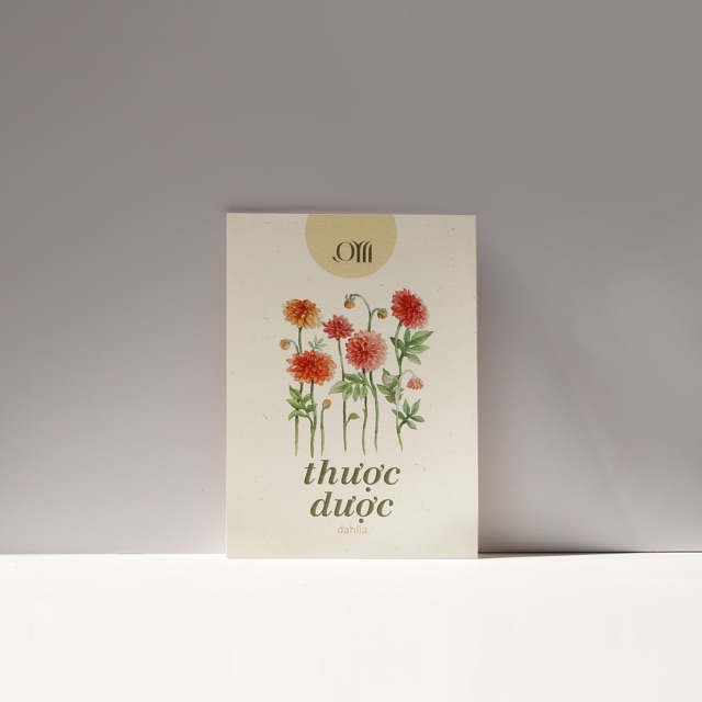 Hạt giống non-GMO -  Hoa Thược Dược | non-GMO seed - Dahlia