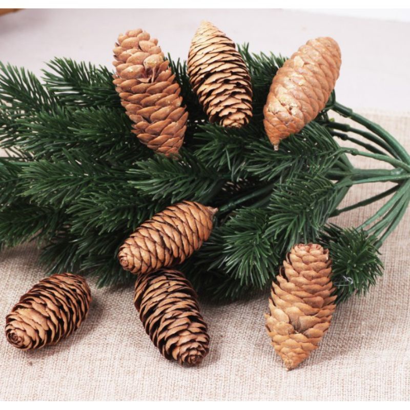 Quả thông khô decor trang trí giáng sinh noel lễ tết nhiều size