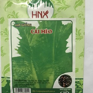 Hạt giống rau cải mèo