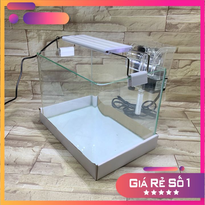 Bể Cá Chữ Nhật 25cm Kính Đúc Bo Góc Đẹp - Bể Cá Mini Để Bàn Dài 25cm