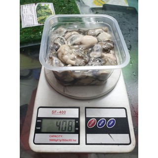 RUỘT HÀO SỮA 400GR / HÀU