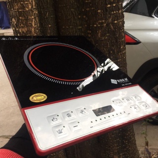 Bếp từ đơn Arber AB303MD