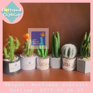 [CÓ SẴN] -  Cây Xương Rồng, Cactus Giả Trang Trí Nhà Cửa