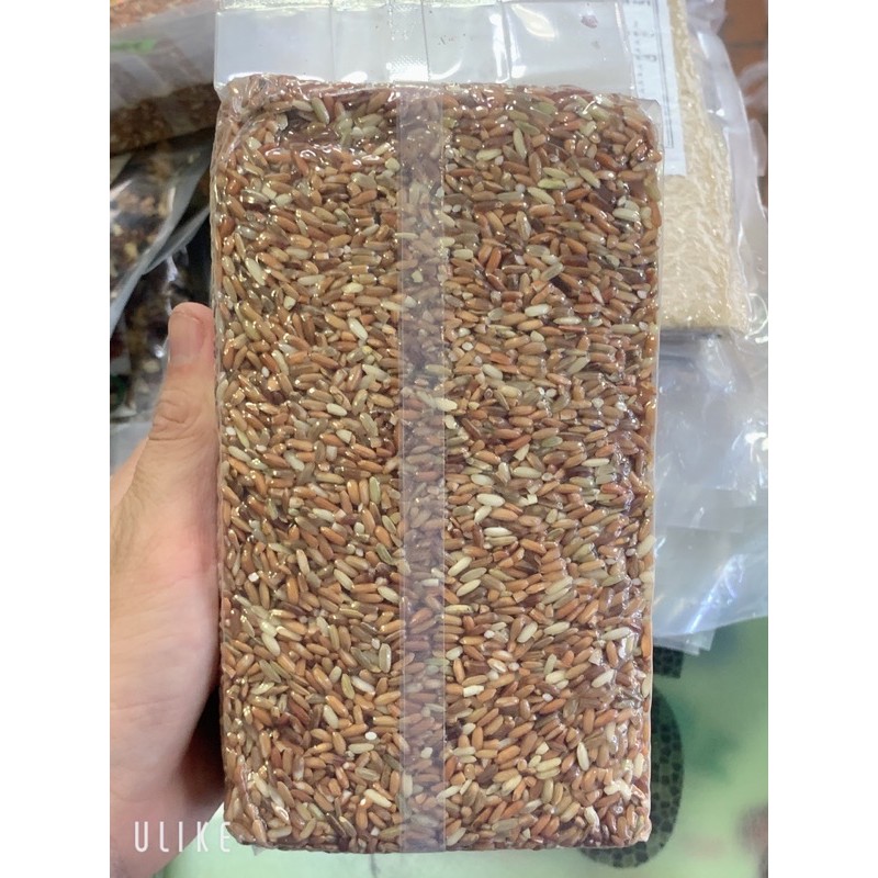 Gạo Lứt dẻo Điện Biên đóng hút chân không 1kg/1 túi | BigBuy360 - bigbuy360.vn