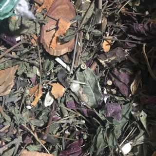 link rieng cho khach - Combo lá xông vùng kín