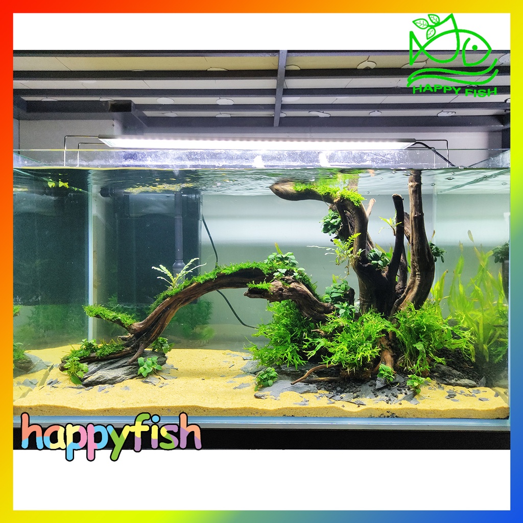 Cát Nắng Vàng Trải Nền Bể Cá - Túi 1Kg