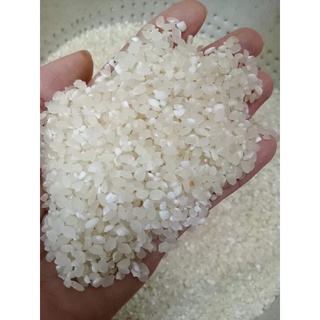 GẠO NẾP LÀO CAI NỌI