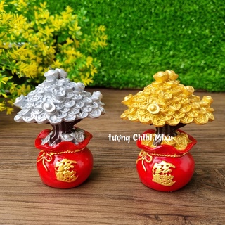   Cây vàng cây bạc  Chậu cây kim tiền size 8cm may mắn tài lộc 