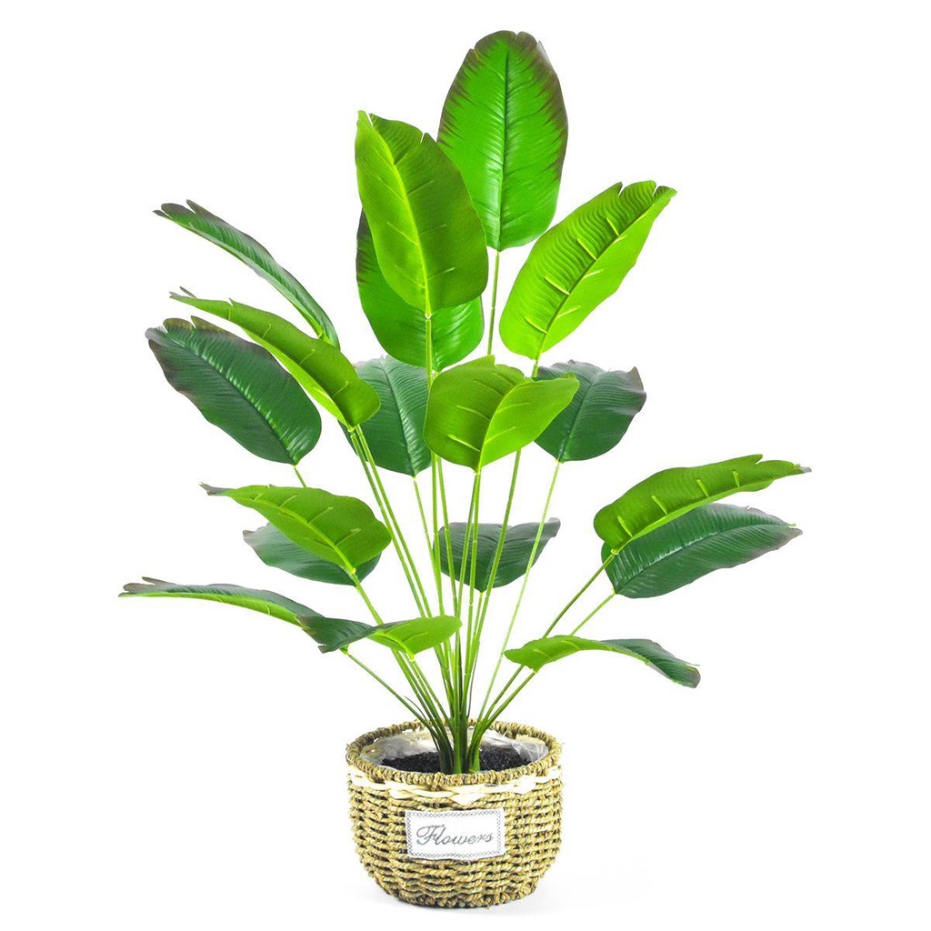 Cây Cọ Giả Trang Trí Phòng Khách TAYLOR1 32 &quot;