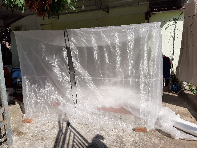 Mùng nuôi ruồi lính đen - Mã số 322