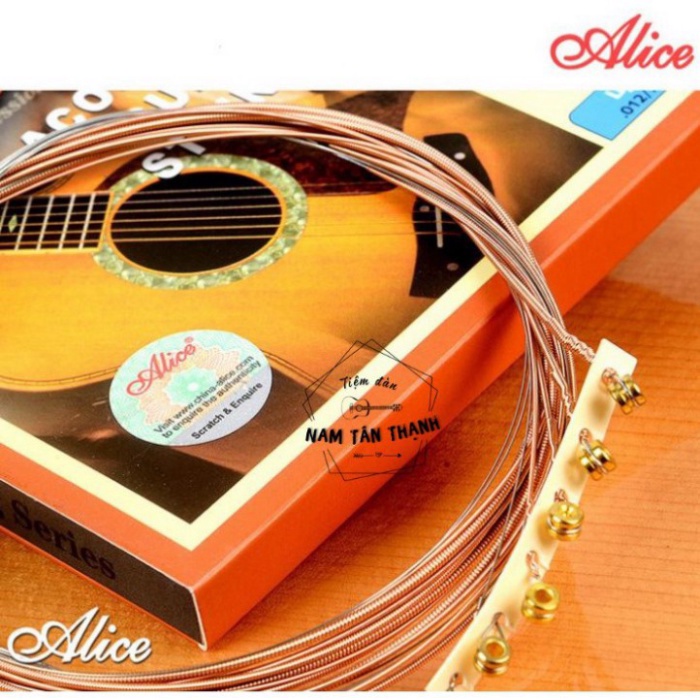 Dây đàn Guitar Acoustic [ TẶNG PICK FENDER ] Alice AW432