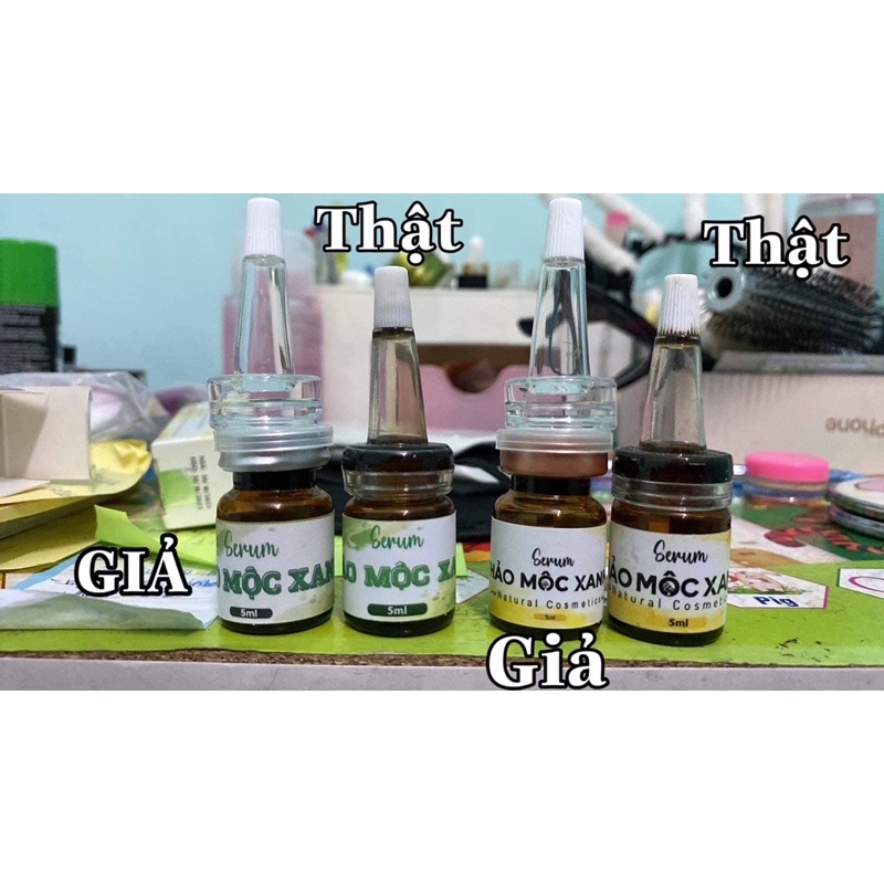 Combo thảo mộc xanh