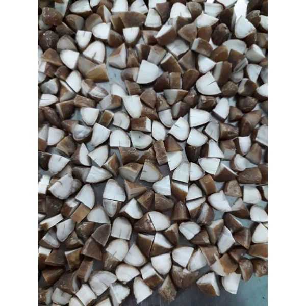 1 LIỆU TRÌNH  HẠT SANG CỦA NGƯỜI MÔNG