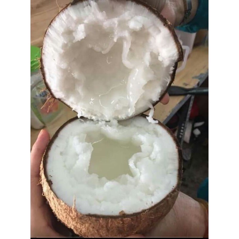 Kẹo Dừa Sáp Vị Lá Dứa ( Tặng 1 túi kẹo khi mua 2 túi kẹo )