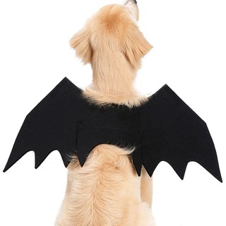 Đồ Hóa Trang Halloween Cho Thú Cưng