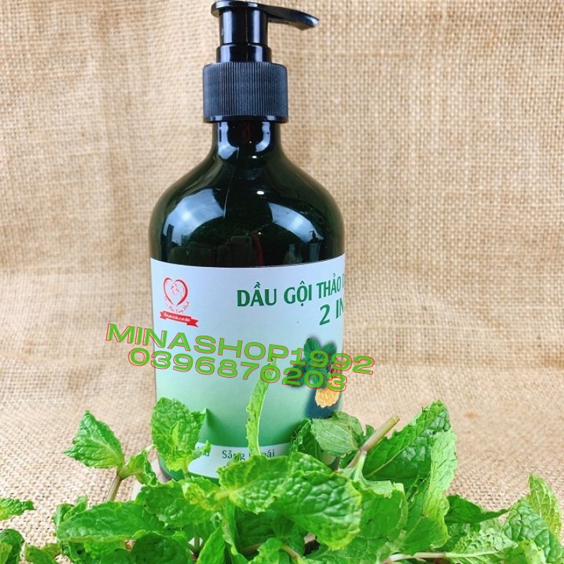 [500ml] DẦU GỘI BẠC HÀ 2in1  - Giảm rụng tóc, giảm chẻ ngọn, nuôi dưỡng tóc từ sâu bên trong