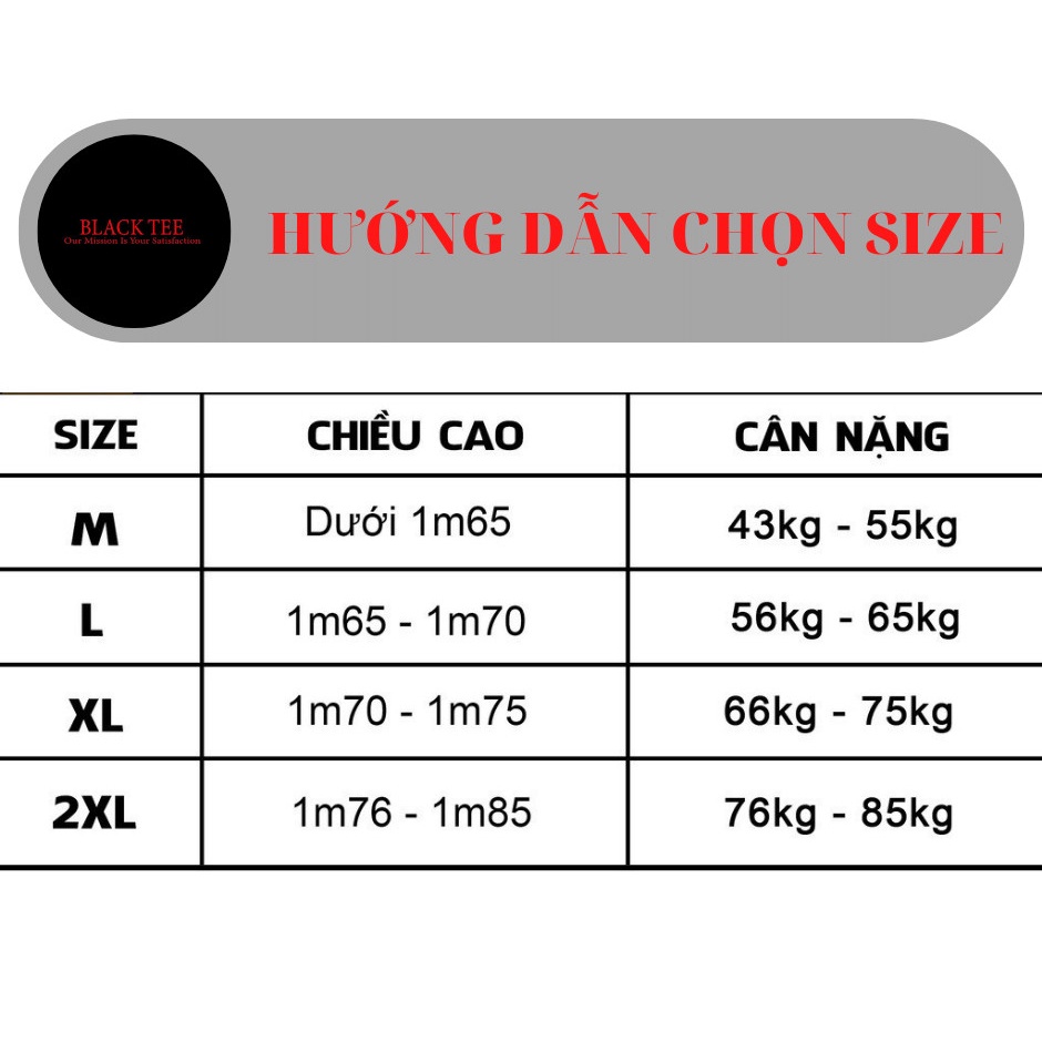 Áo thun nam tay ngắn in hình, cổ tròn, vải cotton co giãn 4c, BLACK TEE thiết kế đơn giản TSBLT0002