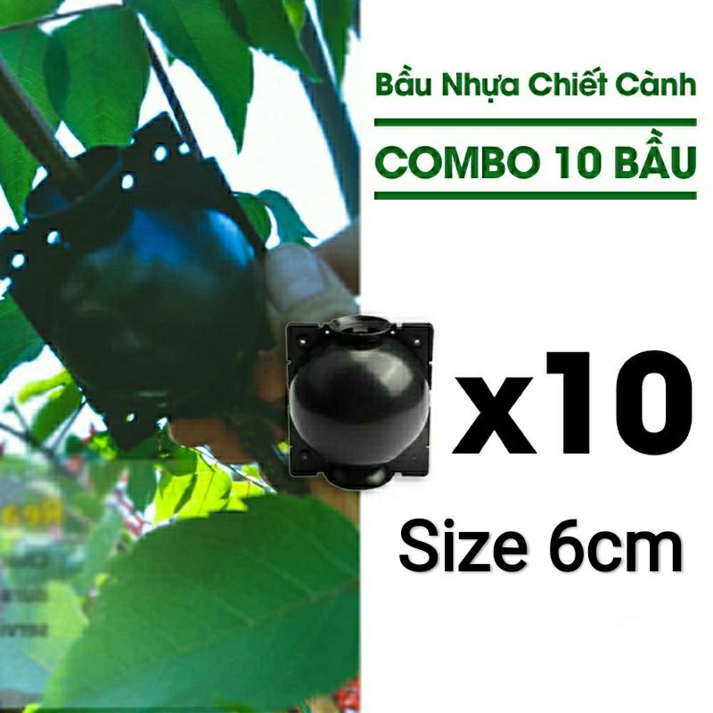 Combo 10 Bầu Nhựa Hỗ Trợ Chiết Cành Cực Tốt Tái Sử Dụng 4 Năm - Size 6cm