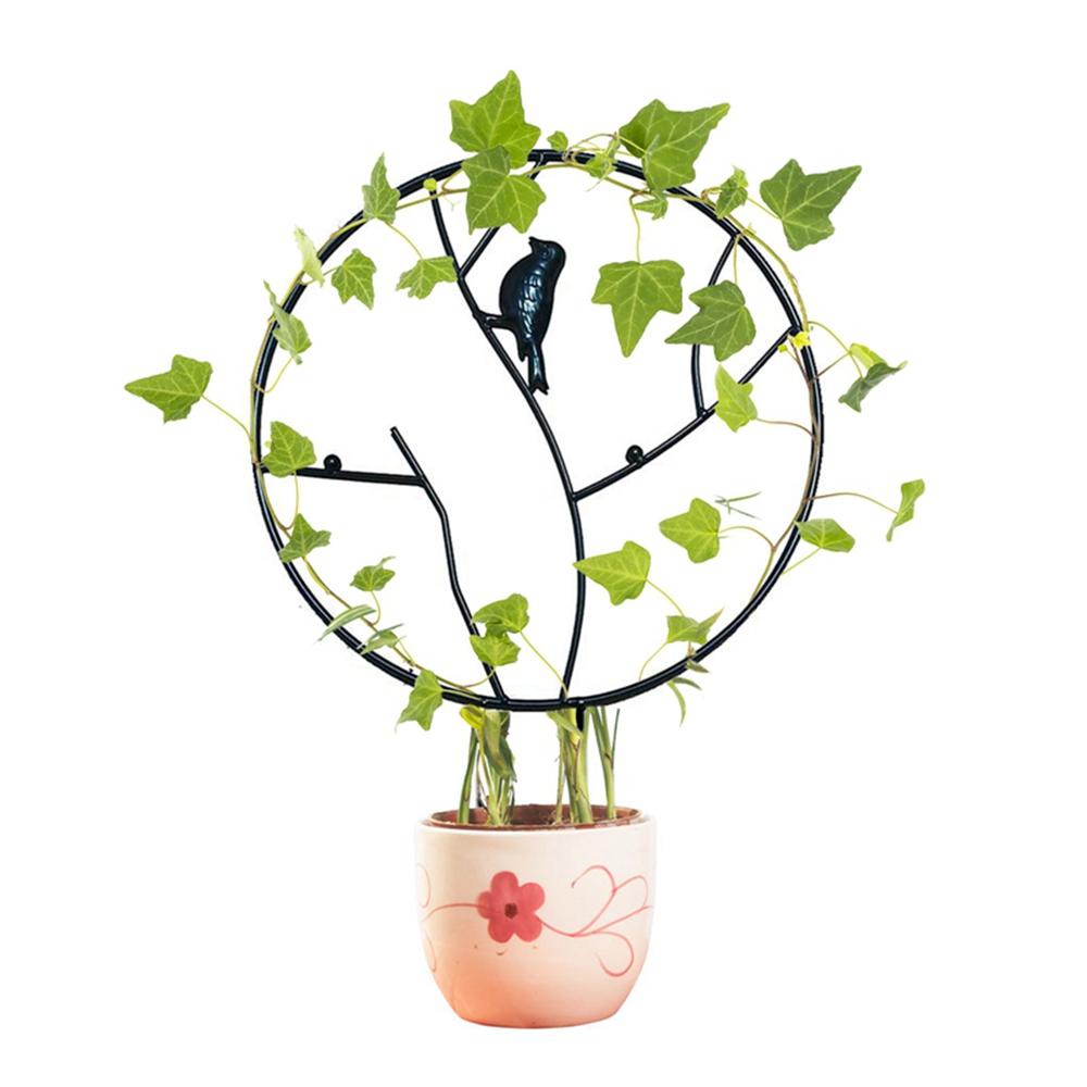 Giá Đỡ Cây Thân Leo Bằng Kim Loại Bền Chống Rỉ Sét Cổ Điển
