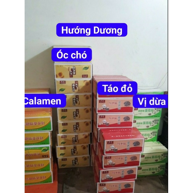 Sỉ 1 thùng 5kg Hạt Hướng Dương Vị Táo Đỏ, Caramel,Óc Chó, Vị Dừa/ Hạt bí tẩm vị