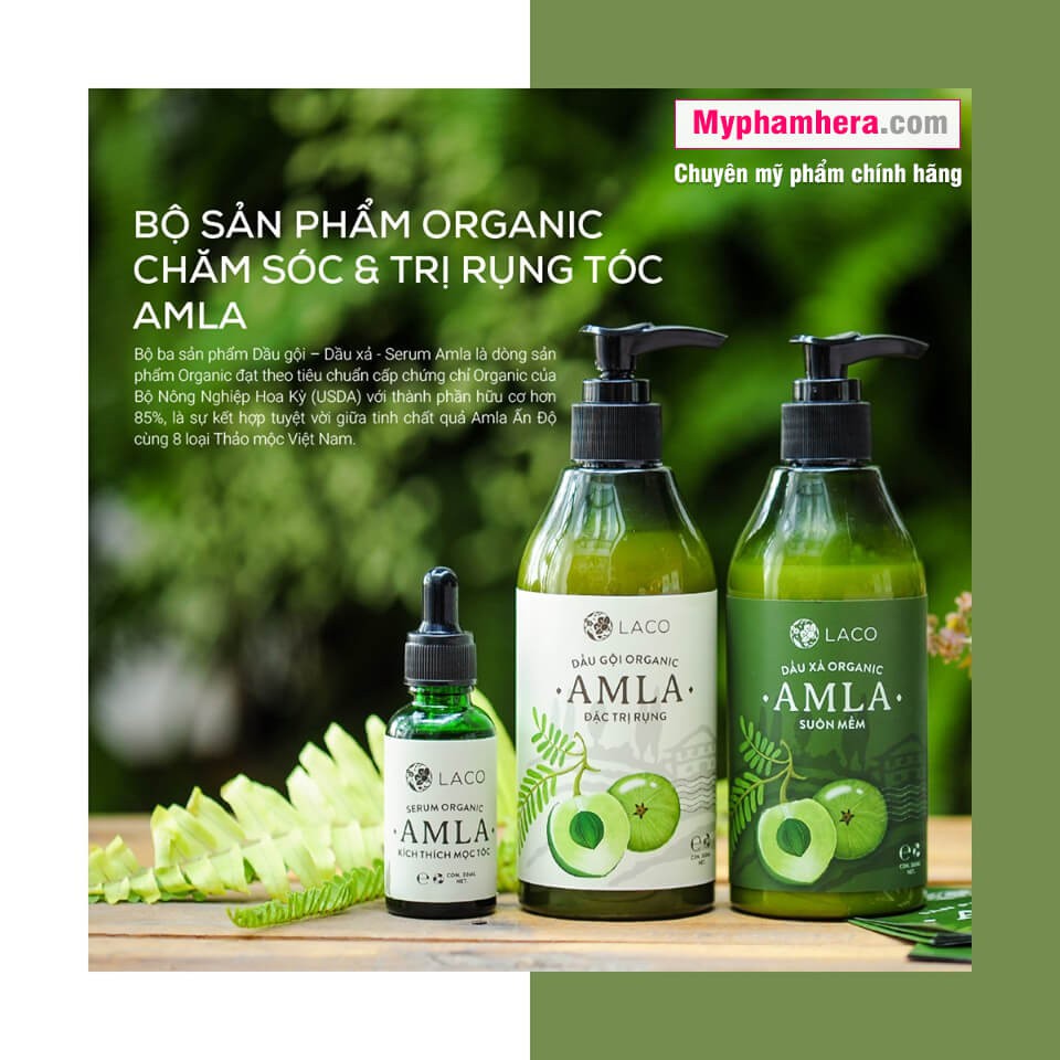 Bộ dầu gội trị rụng tóc Amla