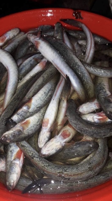 Khô Cá Kèo Cà Mau 500g | BigBuy360 - bigbuy360.vn