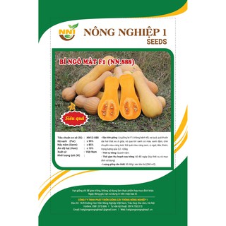 HẠT GIỐNG BÍ NGÔ MẬT CAO SẢN LOẠI 2G (NN.888)
