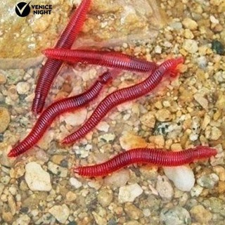 Set 50 Mồi Câu Cá Giả Hình Giun Đất