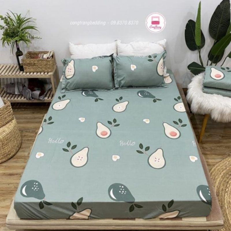 Xả kho giá sốc Bộ ga gối cotton poly m6/m8 mẫu mới