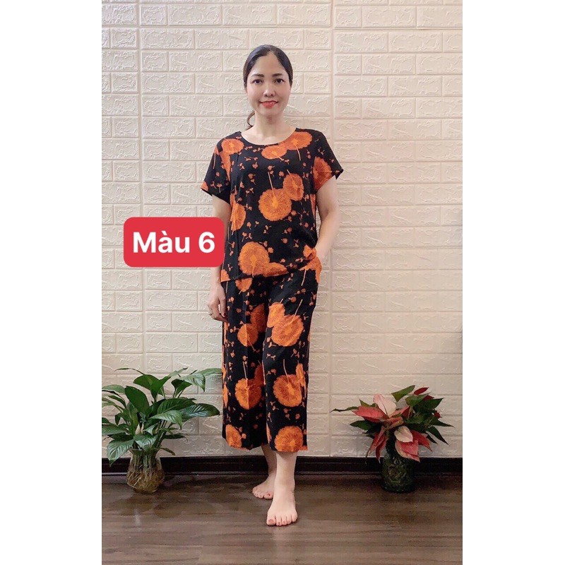 ❤️❤️BỘ LANH ĐẠI ỐNG SỚ ANH THƯ | BigBuy360 - bigbuy360.vn