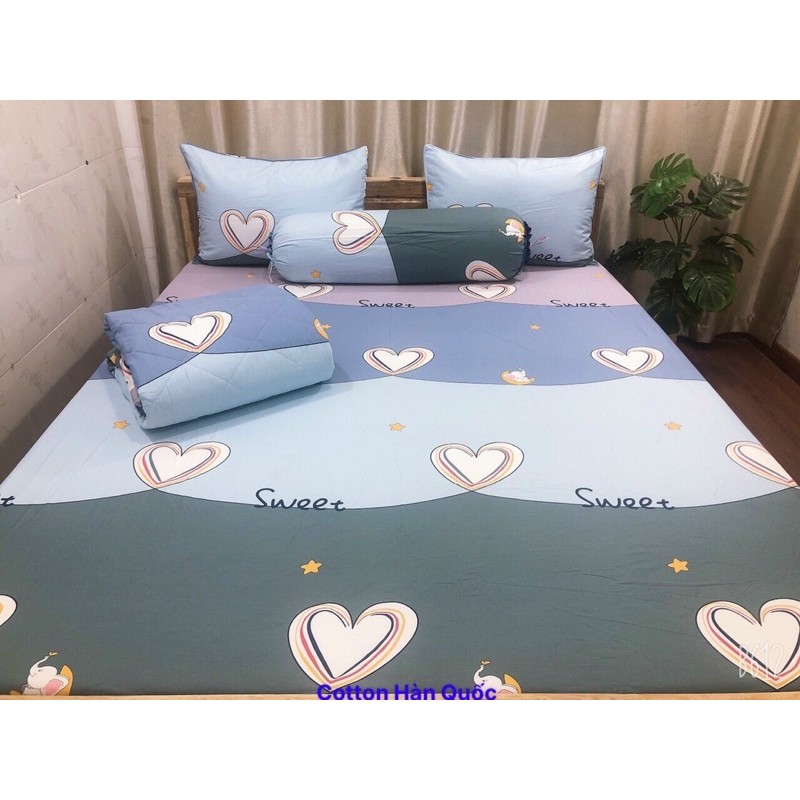 Bộ drap giường cotton Hàn Quốc( nệm dày 10-15 cm)