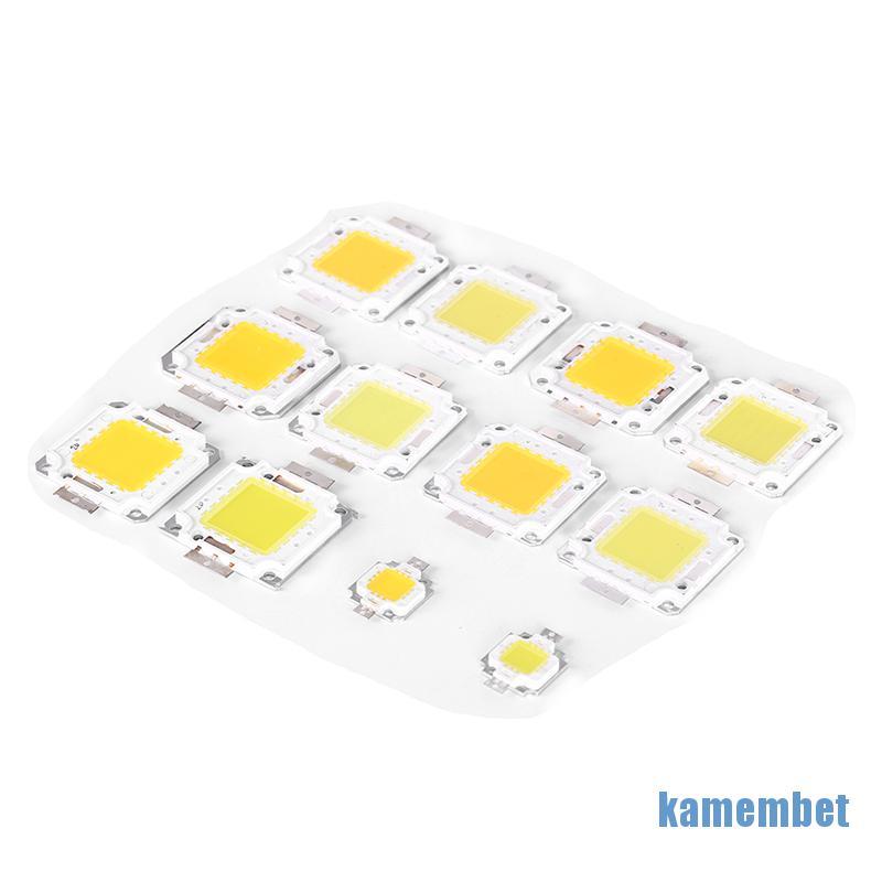 DC 1 Chip Đèn Led Cob 10w 20w 30w 50w 70w 100w 2 Màu