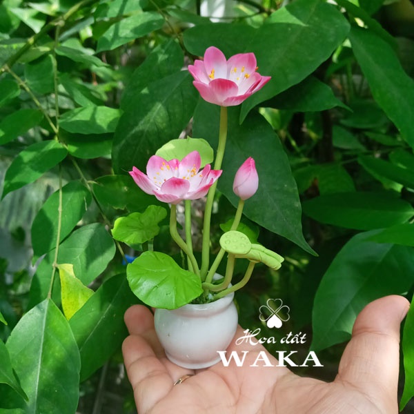 Hoa Đất Sét Mini- Hoa Sen