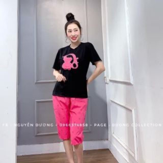 Bộ lửng thun phối