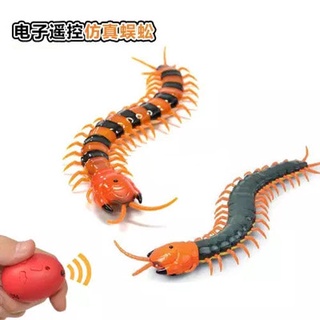 Điều khiển từ xa con rết mô phỏng động vật đồ chơi con sâu bướm Vui nhộn Con Rắn Bò Điện Con Cậu Bé Khéo Léo Con Gián Do