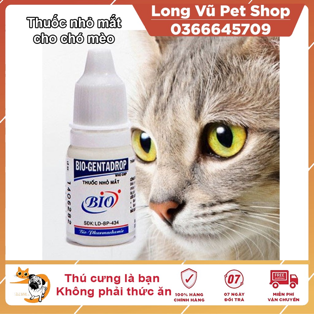Nhỏ mắt cho chó mèo Bio Genta drop