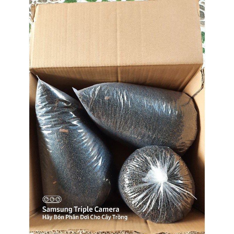 Thùng 5kg Phân Dơi Nguyên Chất