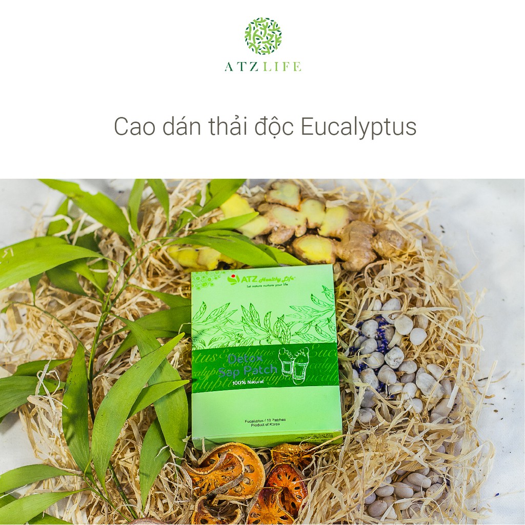 Miếng Cao Dán Thải Độc Chân Cao Cấp ATZ Healthy Life - Hộp 10 miếng Eucalyptus