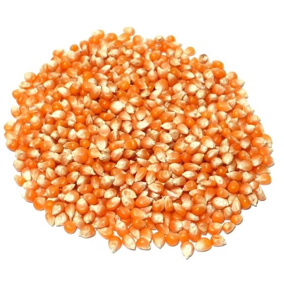 Ngô mỹ hình nấm  bắp rang bơ - 200g ngỗ mỹ hình nấm