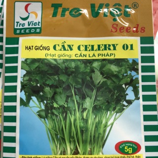 Hạt giống Cần Celery 01 Tre Việt ☘️ gói 5 gr